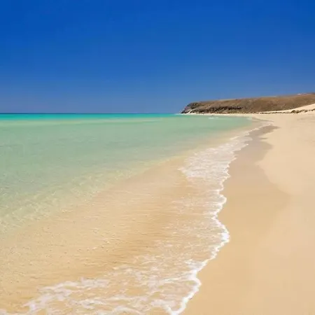 Tropical Paradise טרחלחו