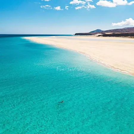 Daire Tropical Paradise