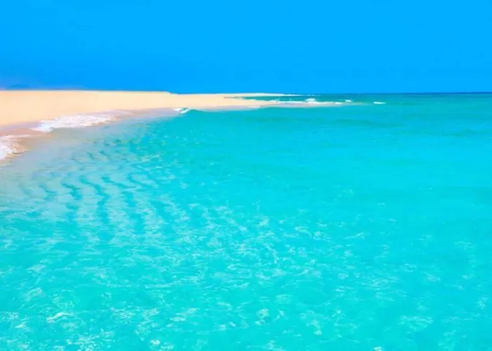 アパート Tropical Paradise タラハレホ