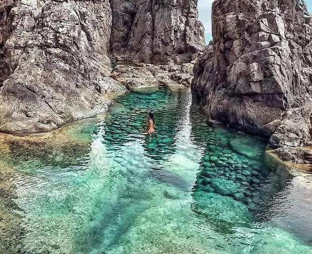 Tropical Paradise アパート タラハレホ